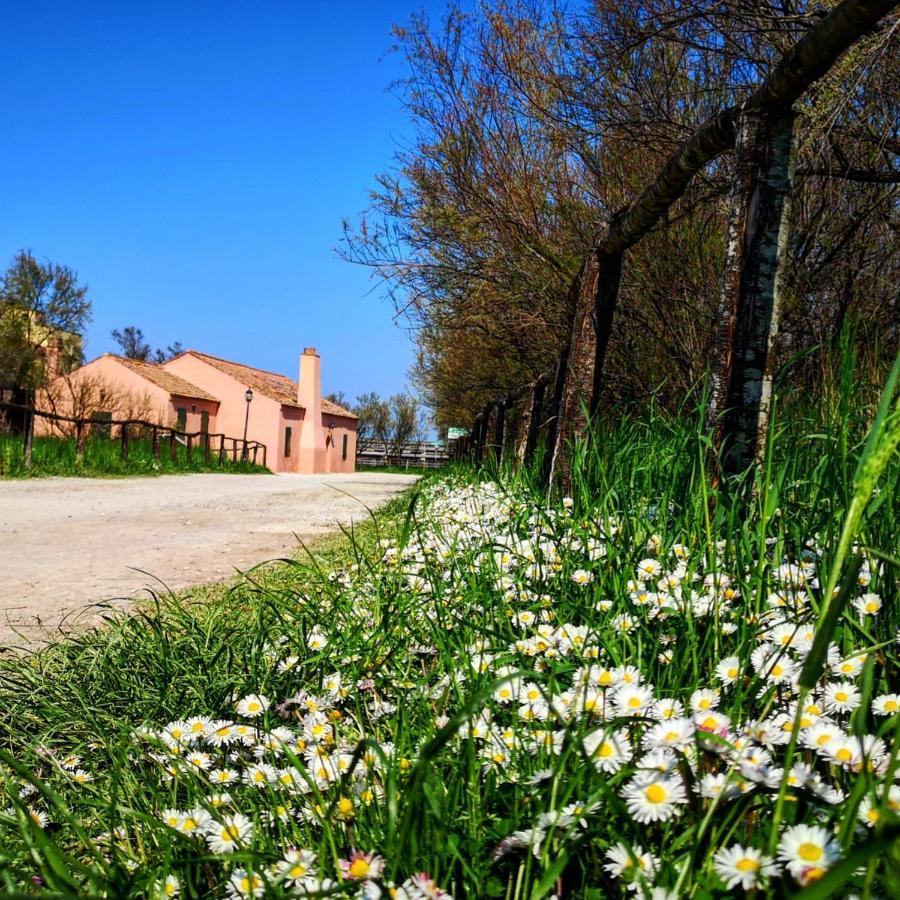 Residenza La Gallinella Комаккьо Екстер'єр фото
